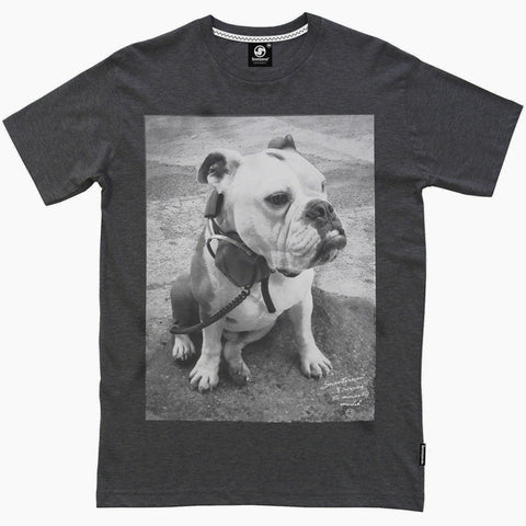 DJ Bulldog t-shirt - Charcoal Heather