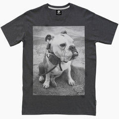 Seventyseven DJ Bulldog t-shirt - Charcoal Heather