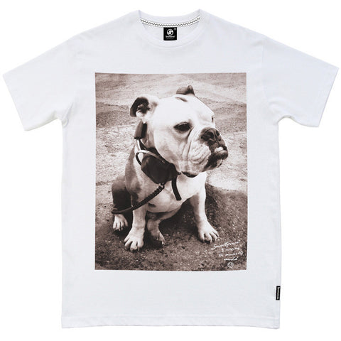 DJ Bulldog t-shirt - White