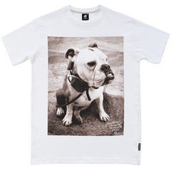 Seventyseven DJ Bulldog t-shirt - White